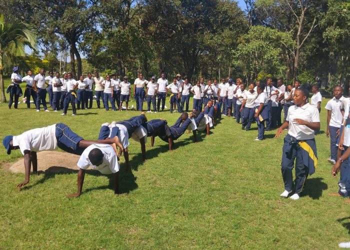 stepzim-training-session-19
